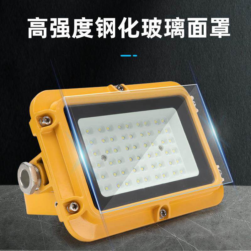 BAD 20W30W40W50W工厂防爆LED泛光灯 加油站投光灯 LED防爆吸顶灯