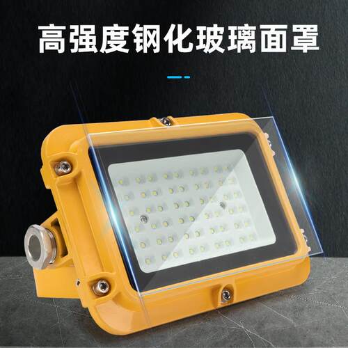 BAD 20W30W40W50W工厂防爆LED泛光灯 加油站投光灯 LED防爆吸顶灯