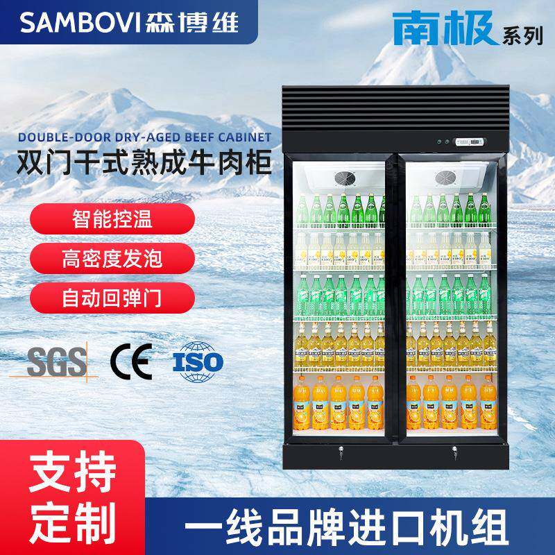 双门干式熟成牛肉柜商用牛排柜冷藏冷鲜展示柜西餐厅食品排酸柜