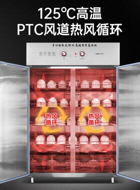 消毒大柜商高温双门立式风循环TGE容用量餐厅饭堂厨房餐具消热毒