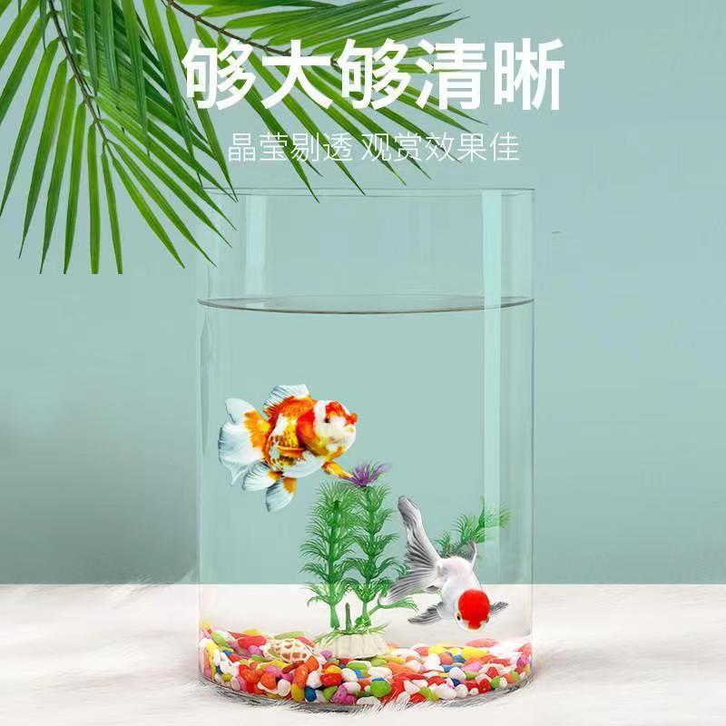 大号玻璃直筒鱼缸透明圆柱型玻璃花瓶客厅餐桌落地生态大摆件造景