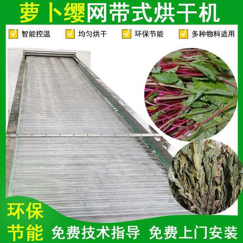 网带式脱水蔬输出萝卜缨烘干机大型萝卜叶萝卜苗干燥机萝卜脱水