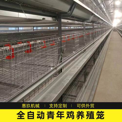 青年鸡全自动框架养鸡笼鸡舍养鸡场层叠式立式自动化养殖设备