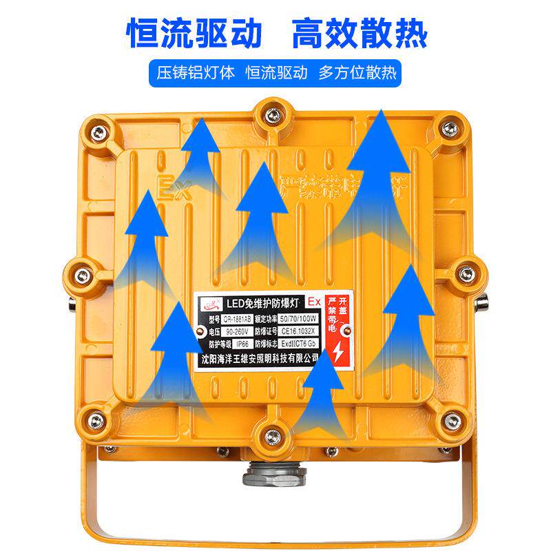 led防爆灯ip66隔爆型100w加油站投光灯泛光灯50w200w300w400w150w