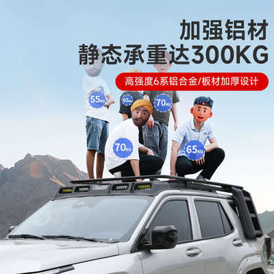 坦克400hi4-t车顶行李架框越野改装配件爬梯拓展平台侧边帐篷书包
