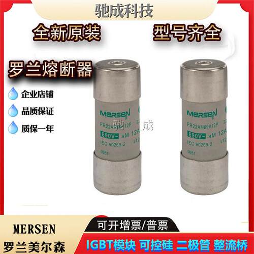 罗兰FR22AM69V12 FR22AM69V16 FR22AM69V20保险丝厂价供应 请咨询