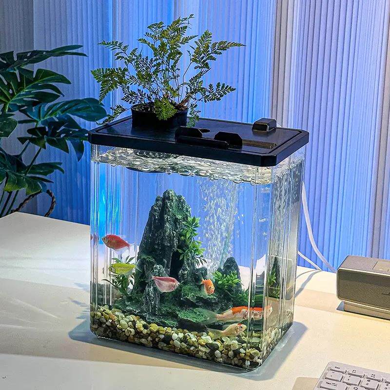 Fish tank acrylic transparent small living room decoration - 实物图