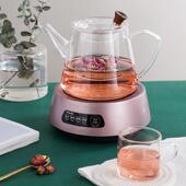 迷你养生壶家用电热水壶办公室花茶煮茶壶玻璃养生茶壶烧水壶新款