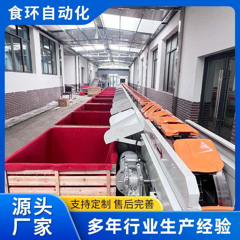电脑智能选果机全自动柑橘智能选果机全自动无损智能选果机