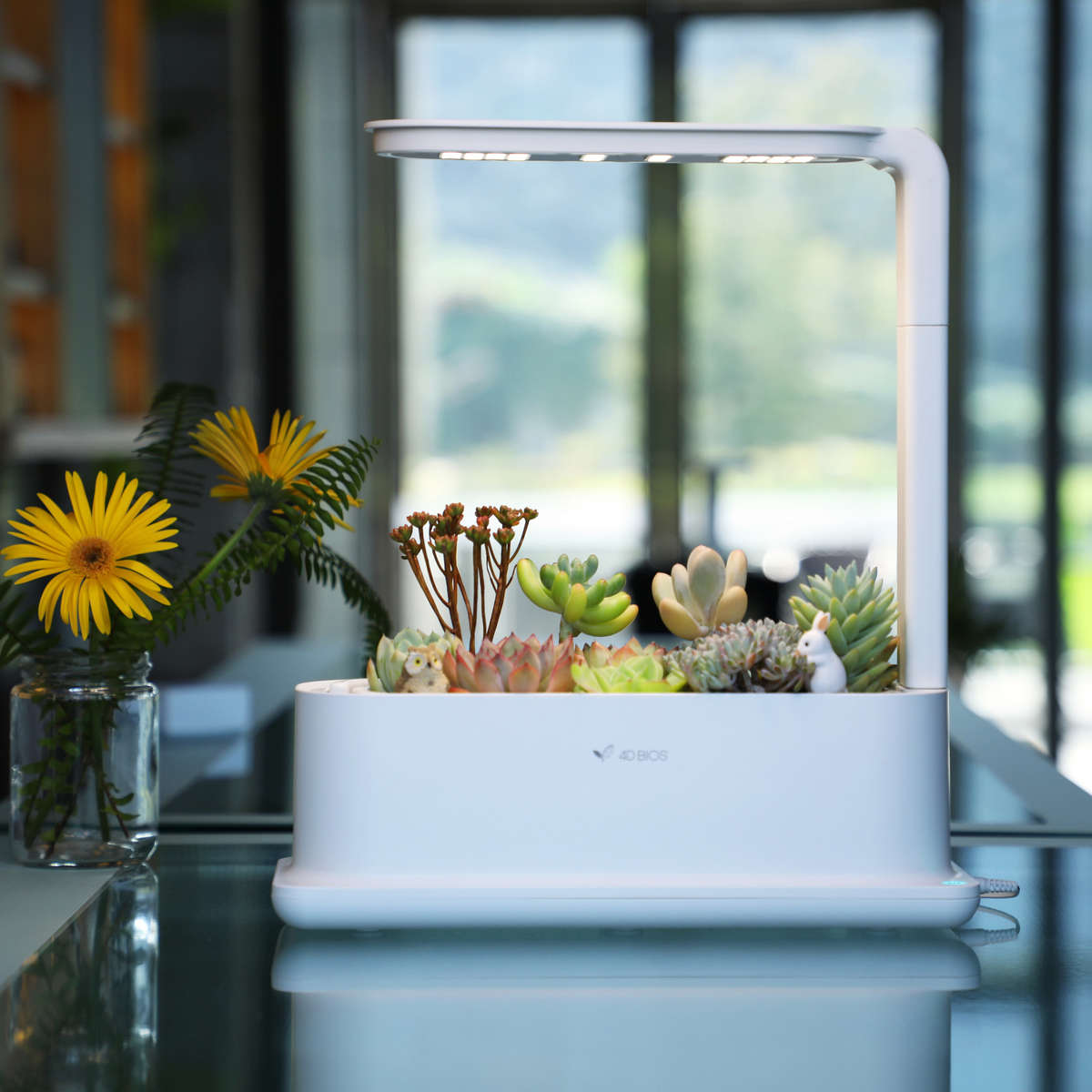 四维生态diy多肉生长灯食虫植物智能微景观盆栽创意礼品