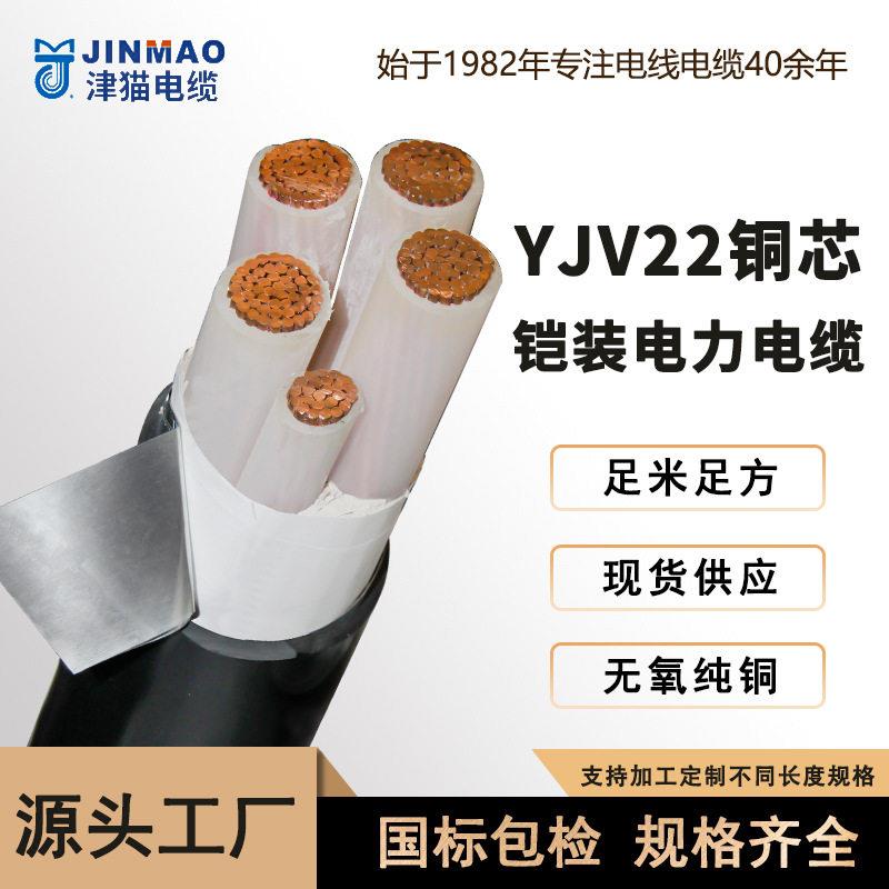 定制天津小猫YJV电力电缆铜芯低压电缆线三芯3*16充电桩连接线