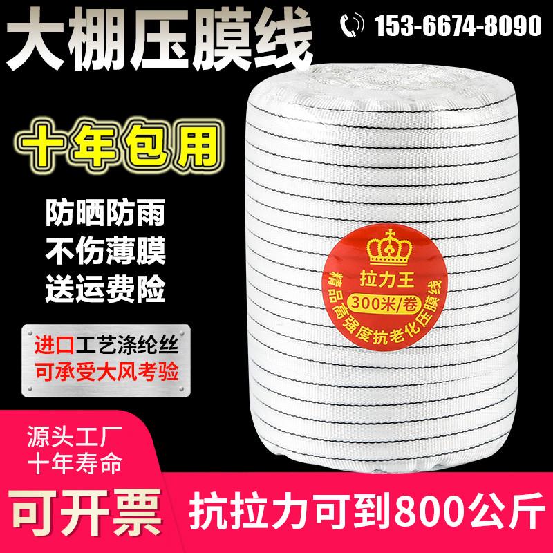 大棚专用压膜线防晒高强度拉力尼龙线压膜绳抗老化温室加厚压膜带