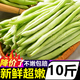 云南新鲜四季豆10斤现摘青豆角，荷兰豆农家蔬菜蚕豆，甜豆毛豆四角豆