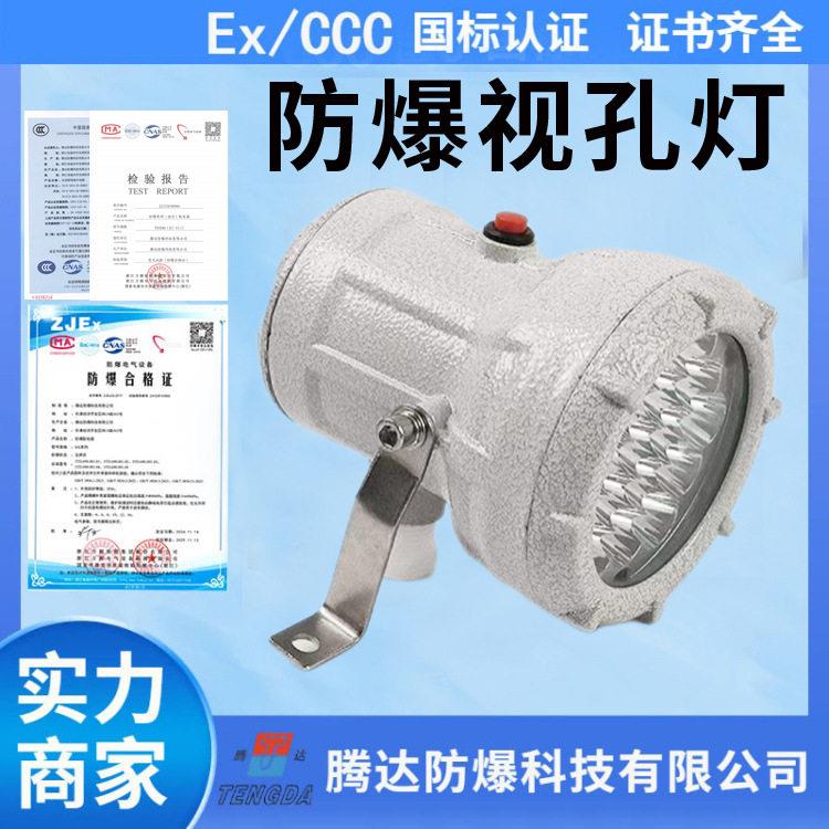 腾达无延时防爆视孔灯led-ABsg固定式36/220V视镜灯10W厂家