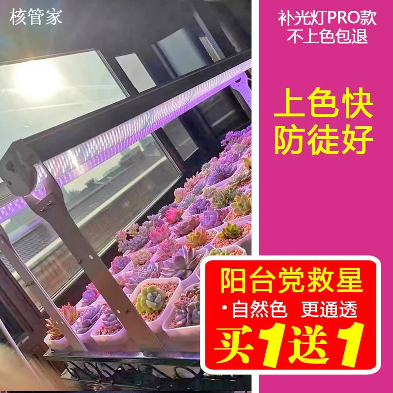 核管家多肉補(bǔ)光燈家用上色全光譜植物生長(zhǎng)燈防徒長(zhǎng)室內(nèi)花卉太陽(yáng)光