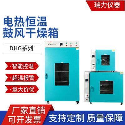 电热恒温鼓风干燥箱厂家DHG1019000系列实验室数显温工业烘干箱
