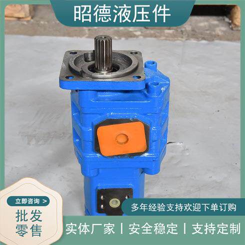 工程机械用泵临工装载机双联泵JHP3100/2010-XF