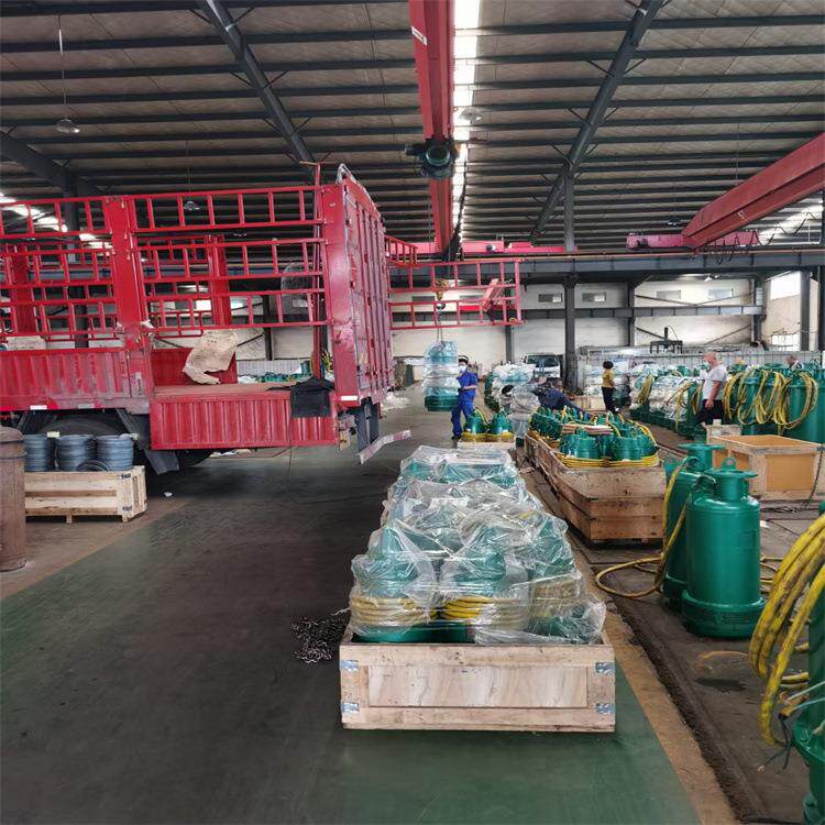 BQS220-70-90/N潜水泵 立式 整机潜水 矿用BQS泵