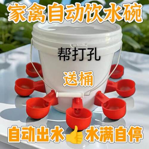 小鸡喝水饮水器养鸡用自动鸡鸭鹅饮水碗鸽子碗鹌鹑家禽鸟喂鸡神器