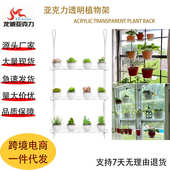 亚克力透明植物架高度可调悬挂室内壁挂植物支架花盆收纳展示支架