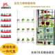 亚克力透明植物架高度可调悬挂室内壁挂植物支架花盆收纳展示支架