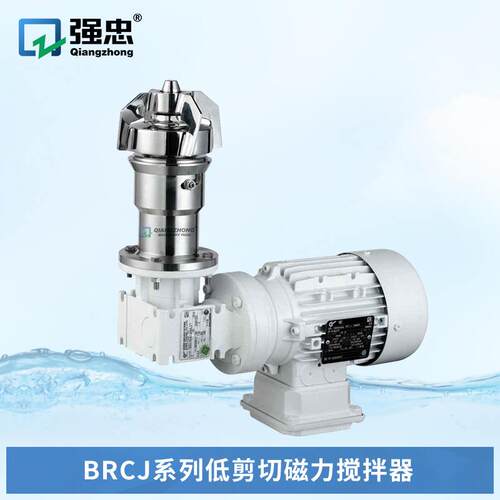 BRCJ系列釜底安装低剪切磁力搅拌器用于反应器反应罐磁力搅拌器