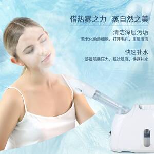 金稻蒸脸器喷雾器美容仪蒸脸仪补水仪喷雾器热喷家用美容仪KD33S