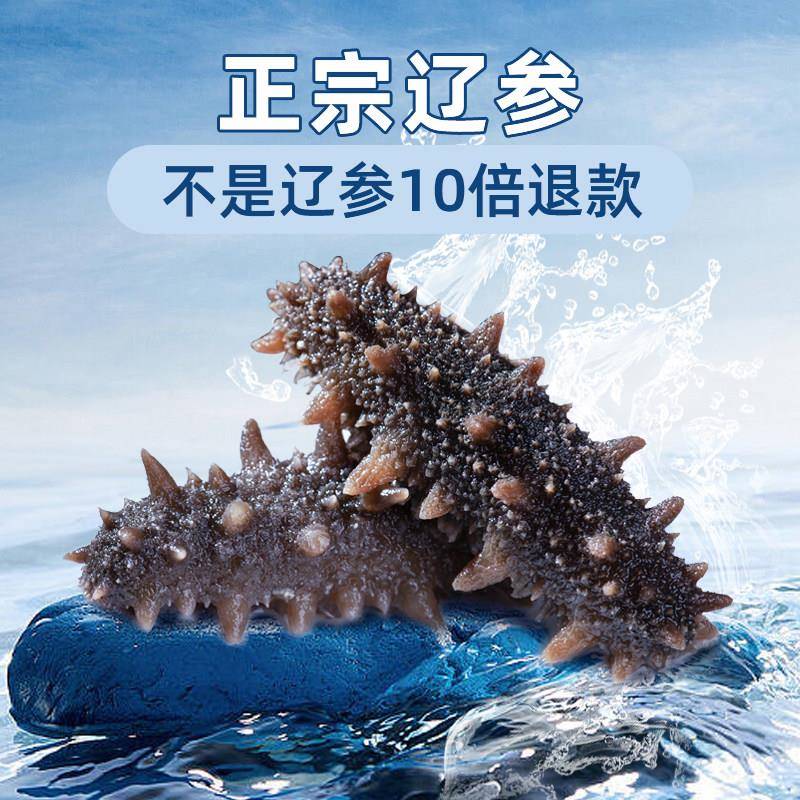 海参干货大连海参辽刺参即食海参鲜食即食淡干海参500g特价袋装