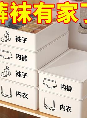 Home Underwear and Socks Storage Box Plastic Cosmetic Organi