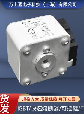 熔断器170M5458 170M5459 170M5460 170M5461 170M5462 170M5463