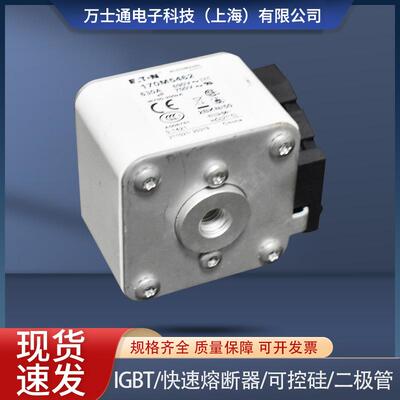 熔断器170M5458 170M5459 170M5460 170M5461 170M5462 170M5463