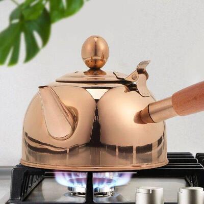 Tea Pots for Loose Water Kettle Stainless Steel Teapot