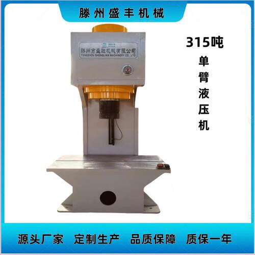新款315T单臂液压机油压机定时款工厂实地拍摄视频品质保证