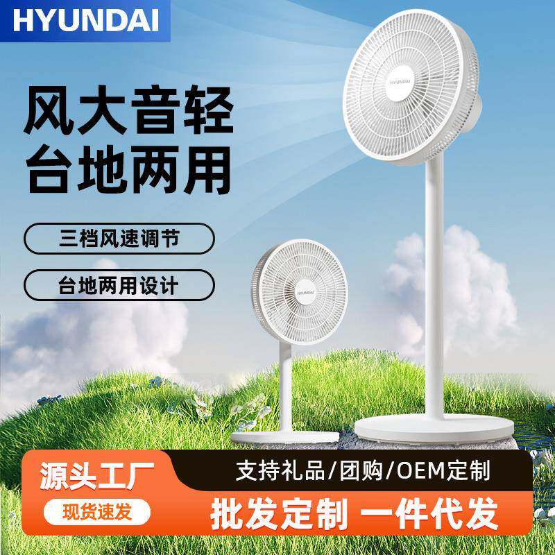 HYUNDAI电风扇家用宿舍遥控定时台地两用可拆洗大风平面扇落地扇