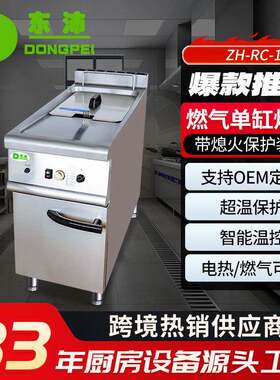 立式单缸单筛炸鸡店炸鸡炸炉商用摆摊燃气油炸锅带限温保护
