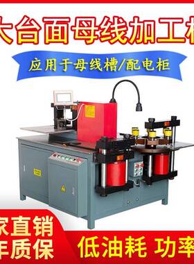 精工细作性能稳定易维护503灰色闭式母线加工机多功能厂家