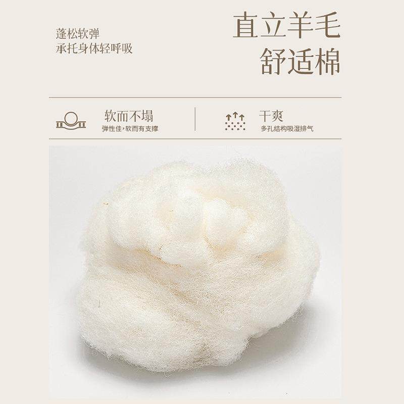 佛山床垫马尾毛记忆棉弹簧床垫家用卧室加厚五星酒店手工床垫