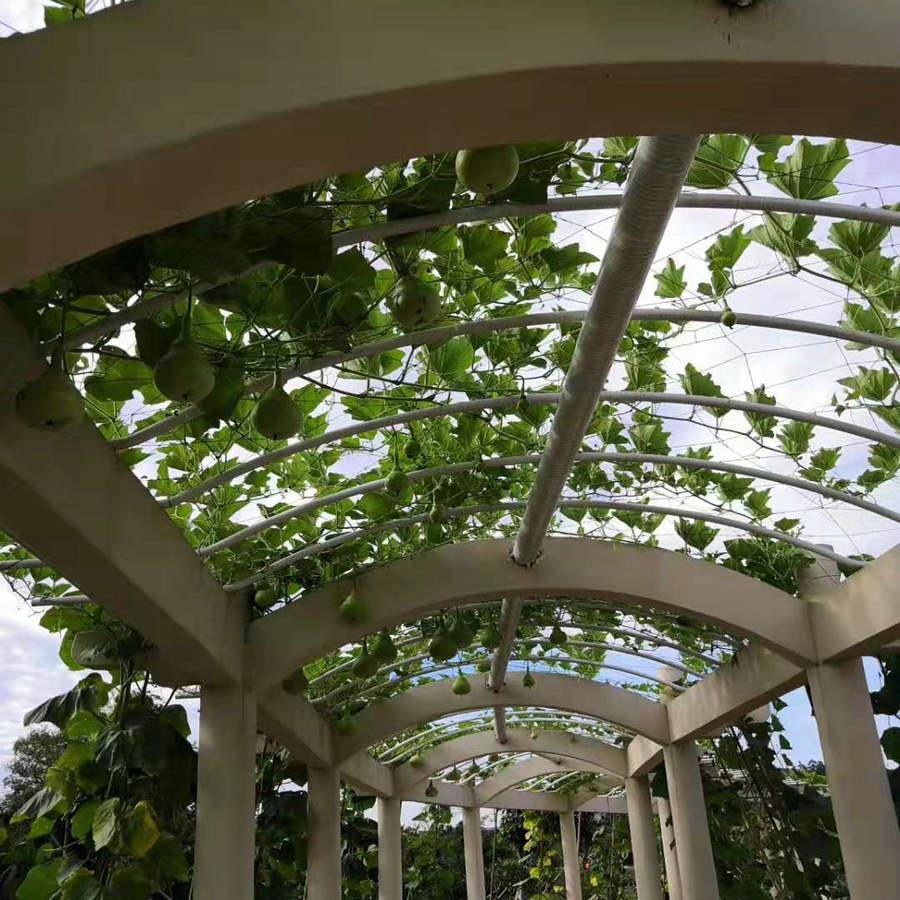 果园网胶丝塑料园林植物攀爬网原生料农作物黑色支架网厂价