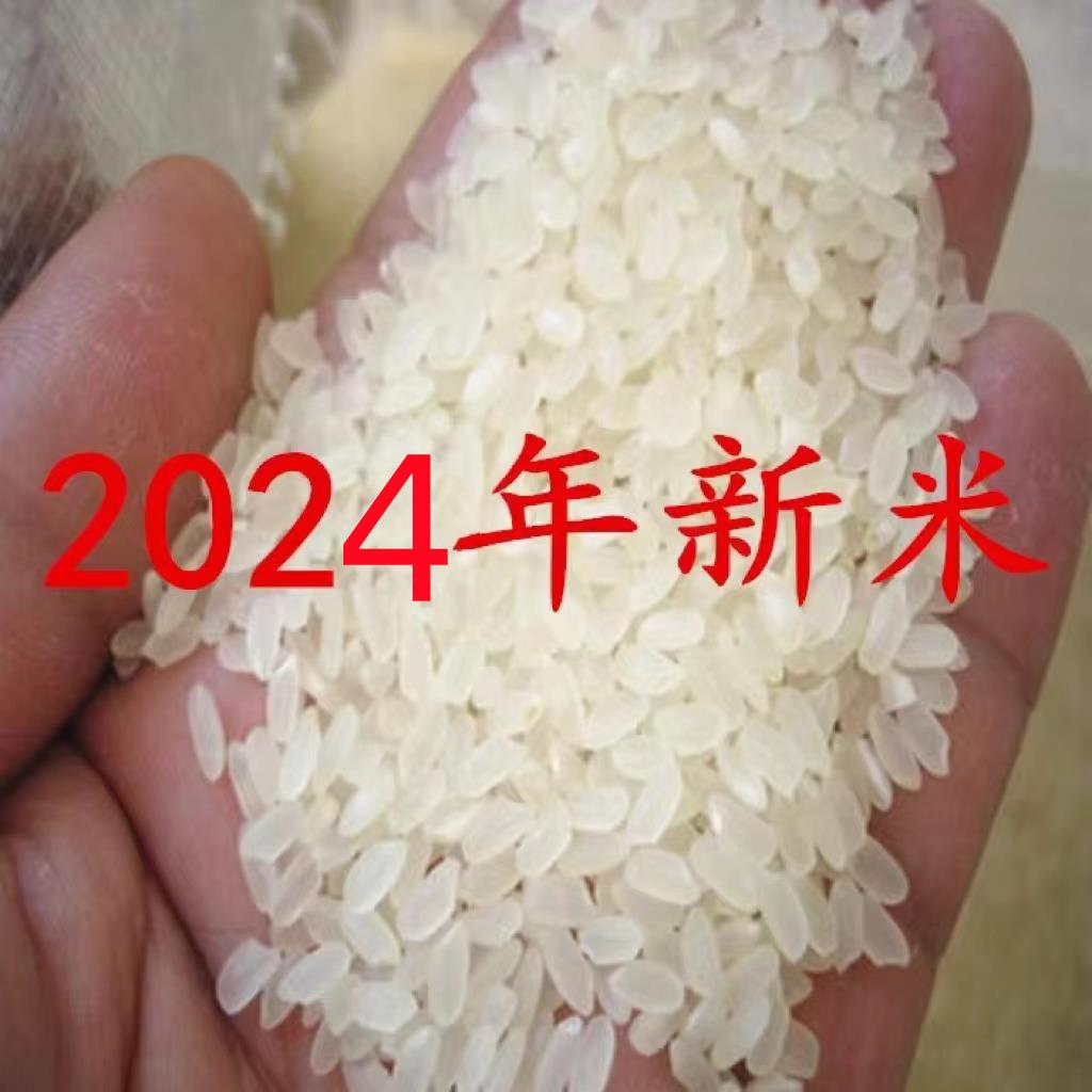 2024年新米盘米10kg 蟹田大米自产 东北新大米20斤珍珠米包邮