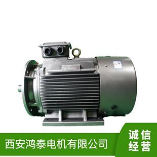 鸿泰三相永磁同步电机TYP5-112M-4 5.5KWt380V寿命长 振动小