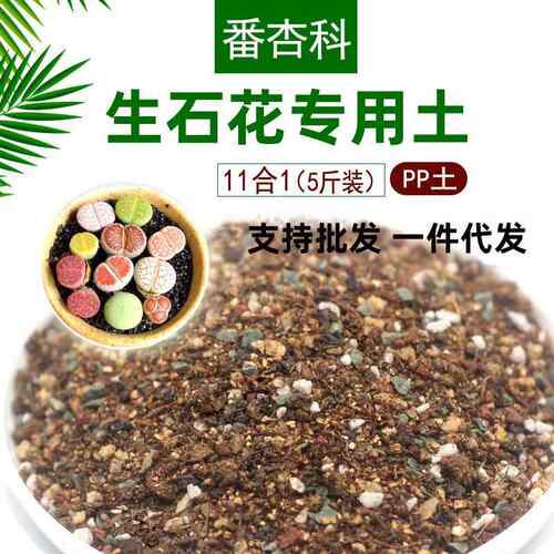 厂家生石花专用土多肉屁屁种植营养土肉锥种植颗粒土番杏