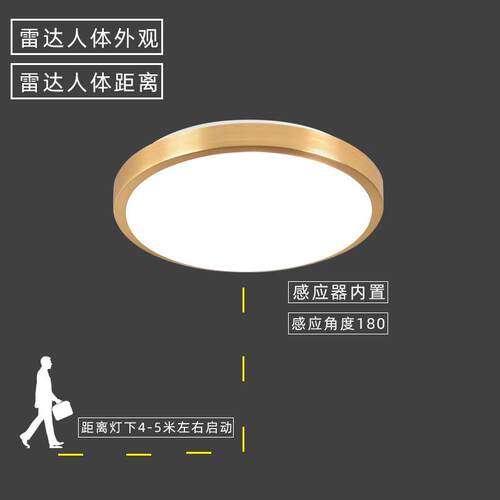 廊ed智能吸顶灯过道走110v220楼梯l灯入玄户关声控雷LL-BL023达人