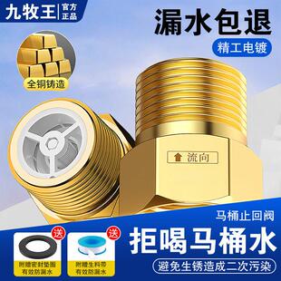 全铜止回阀卫生间水管马桶防反水回水倒流4分止逆阀热水器逆止阀