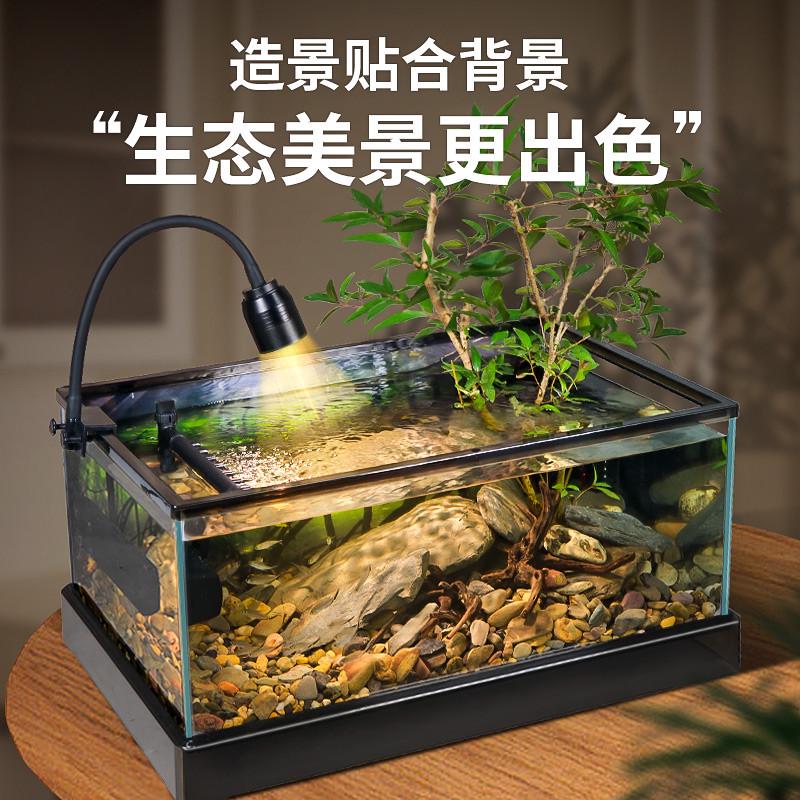 bib鱼缸玻璃乌龟缸升级底部排水鱼龟共养南美背景溪流造景生态养