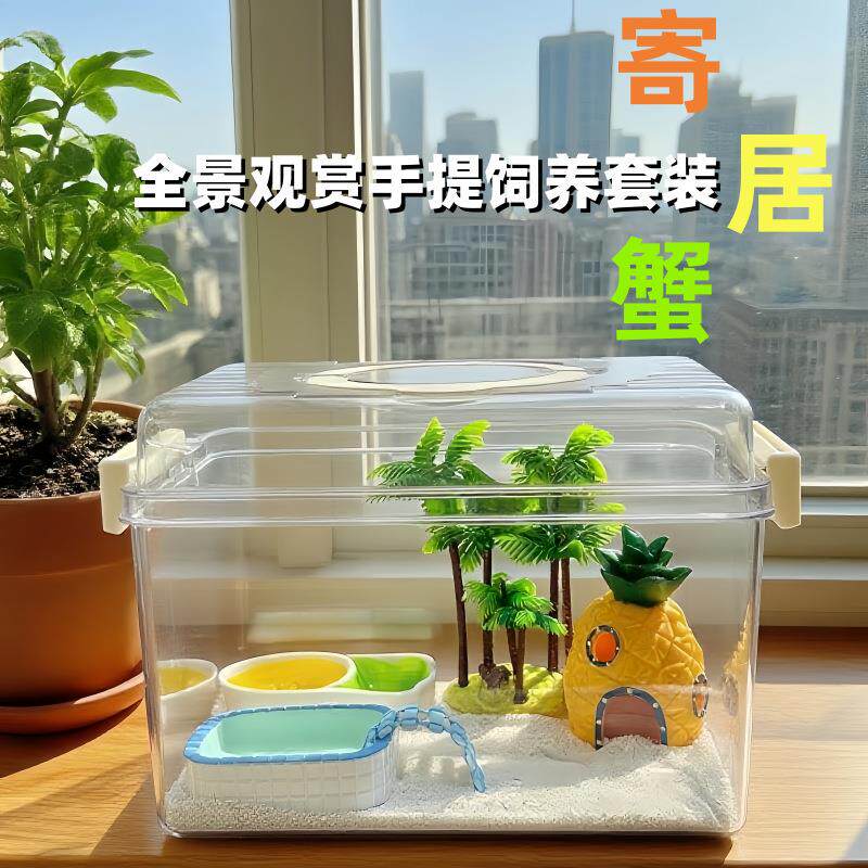 寄居蟹饲养箱大别墅小宠物蟹桌面乌龟饲养缸透明带盖手提饲养盒