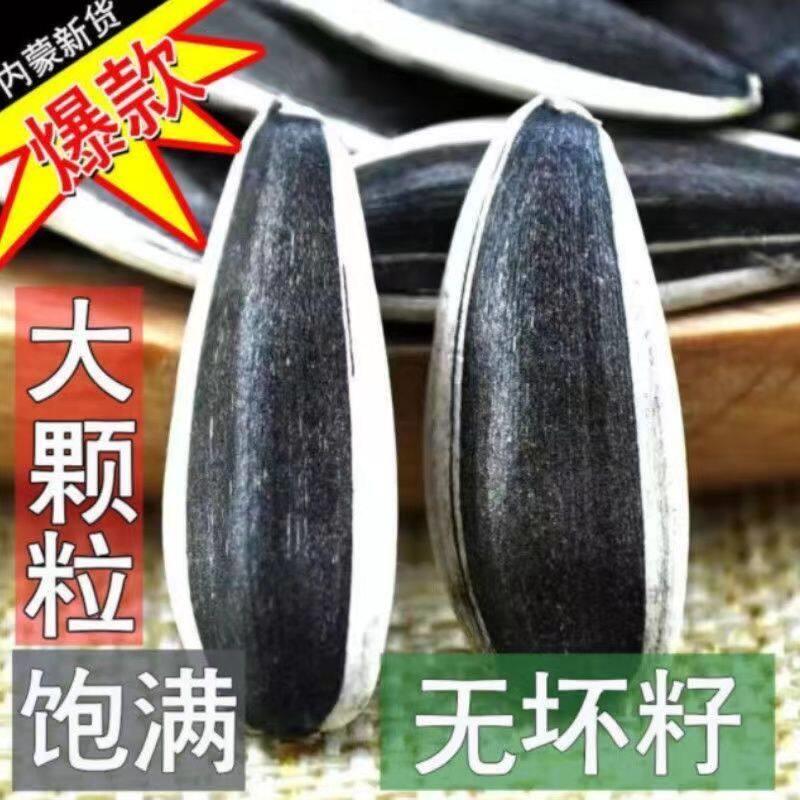 新日期内蒙古生瓜子新货新鲜葵花籽原味瓜籽特大颗粒香瓜子炒货坚