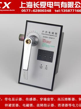 专业生产 DSN-DMY 户内电磁锁 DSN-DMZ