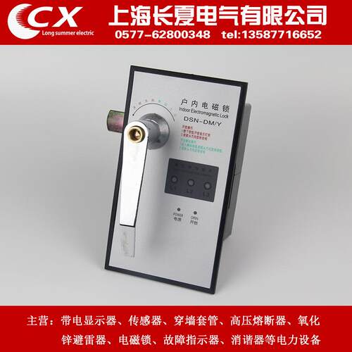 专业生产 DSN-DMY 户内电磁锁 DSN-DMZ