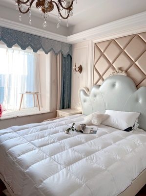 sidanda羽绒被质量真的差吗？上手体验说实情感受