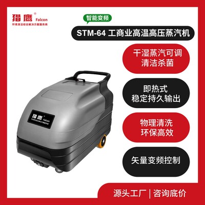 STM-64工业饱和蒸汽清洗机高温高压多功能一体化机床清洗